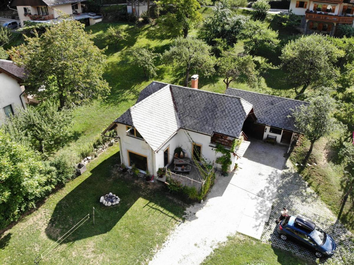 Apartment Polane Blejska Dobrava Dış mekan fotoğraf