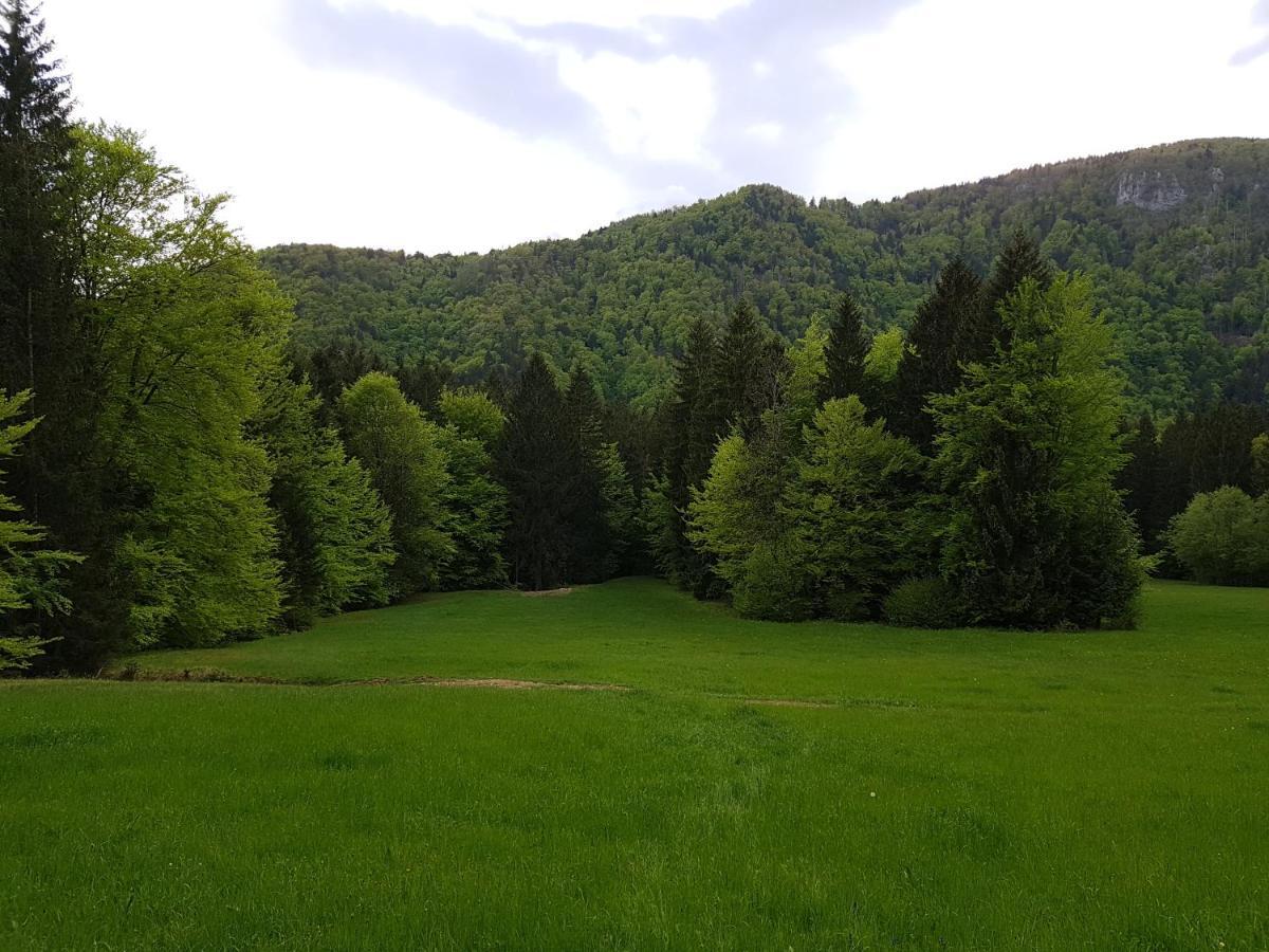 Apartment Polane Blejska Dobrava Dış mekan fotoğraf